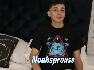 Noahsprouse