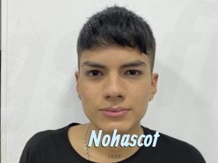 nohascot Gay Sex Prev