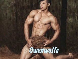 owenwolfe Gay Sex Prev