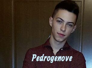 Pedrogenove
