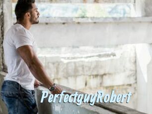 PerfectguyRobert
