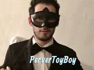 PerverToyBoy