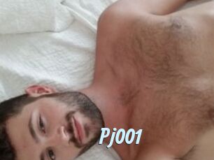 Pj001