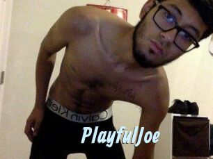 PlayfulJoe