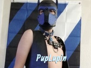 PupLupin Gay Sex Prev