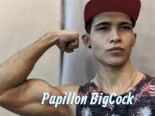 Papillon_BigCock