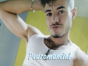 Pedromancini