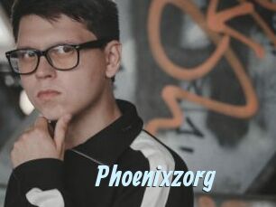 Phoenixzorg