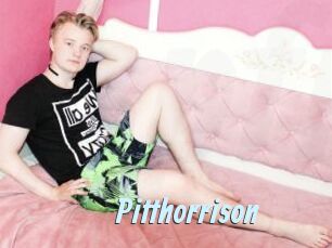 Pitthorrison