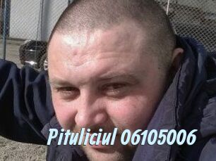 Pituliciul-06105006