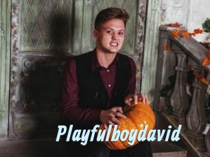 Playfulboydavid