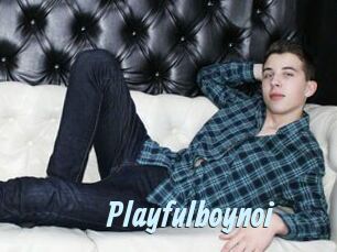 Playfulboynoi