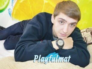 Playfulmat