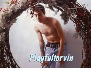 Playfultorvin