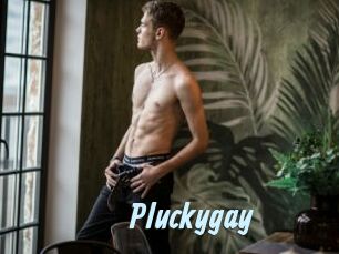 Pluckygay
