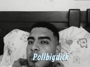 Pollbigdick