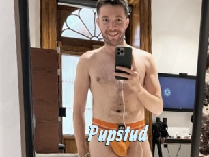 Pupstud