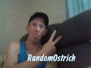 RandomOstrich