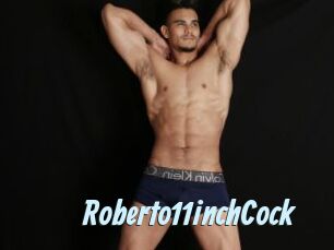 Roberto11inchCock