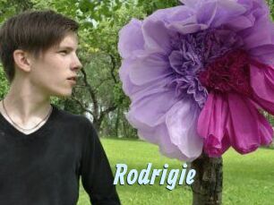 Rodrigie