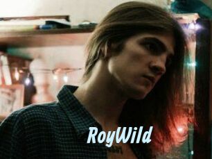 RoyWild