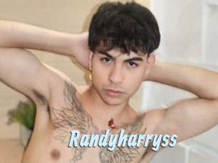 randyharryss Gay Sex Prev
