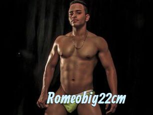 Romeobig22cm