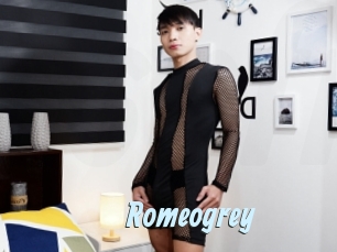 romeogrey Gay Sex Prev