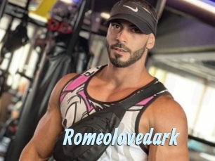 romeolovedark Gay Sex Prev