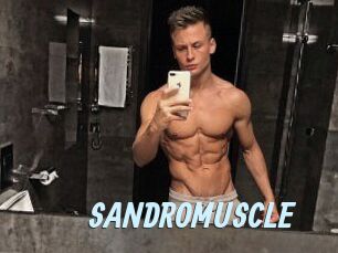 SANDRO_MUSCLE