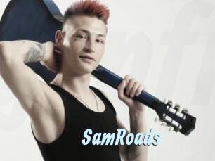 SamRoads Gay Sex Prev