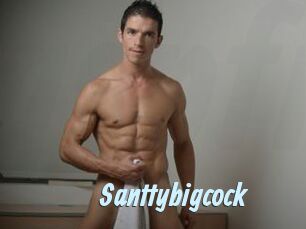 Santtybigcock