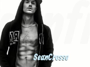 SeanCrosse Gay Sex Prev