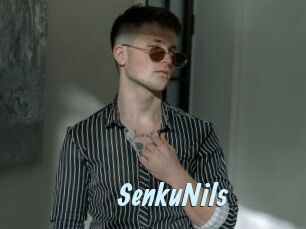 SenkuNils Gay Sex Prev