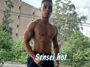 Sensei_hot