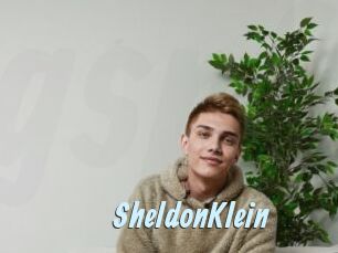SheldonKlein