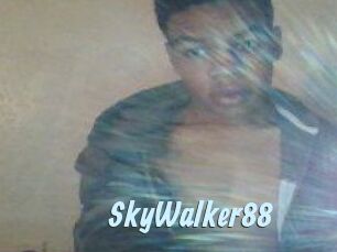 SkyWalker88