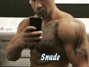 Snade