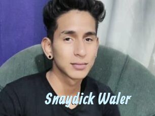 Snaydick_Waler