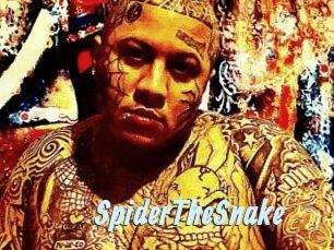 SpiderTheSnake