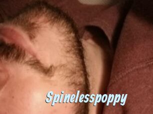 Spinelesspoppy
