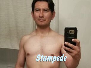 Stampede