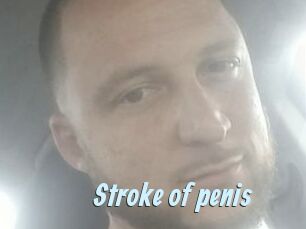 Stroke_of_penis