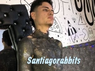 Santiagorabbits