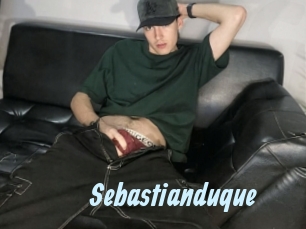 sebastianduque Gay Sex Prev