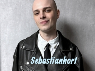 sebastianhort Gay Sex Prev