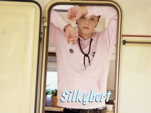 Silkybert
