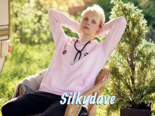 Silkydave
