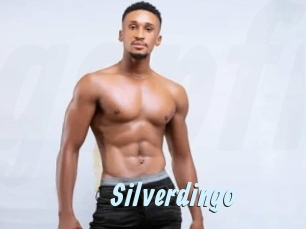 Silverdingo