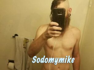 Sodomymike